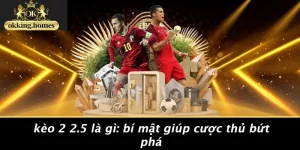 KÈO 2 2.5 LÀ GÌ: BÍ MẬT GIÚP CƯỢC THỦ BỨT PHÁ